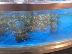 -盒马鲜生(杭州运河上街店)