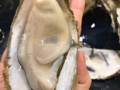 -大富蚝乌东哥饭店·石锅鱼杂·柠檬鸭(革新路店)