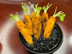 -丁老爷子苏香圆