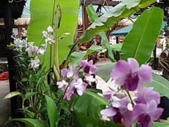 -火咂咂竹筒宴(告庄店)