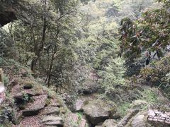 -碧峰峡风景区