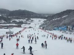 -太子岭滑雪场