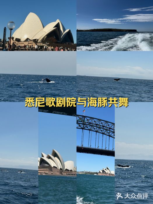 悉尼歌剧院图片