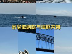 -悉尼歌剧院