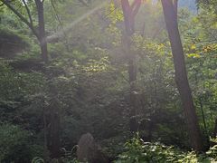 -大岭沟猕猴桃谷风景区