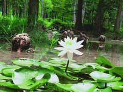 -南京市无想山景区