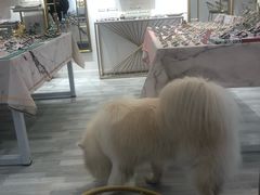 -肆兮眼镜·蔡司·徕卡战略合作店(大坪店)