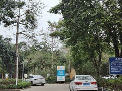 -梧桐山风景名胜区