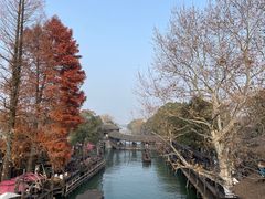 -乌镇西栅景区