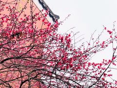 -钱王祠