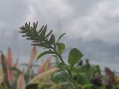 -星光大道
