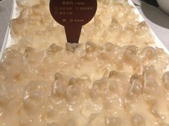 象拔蚌-协成海鲜火锅(海洋花园店)