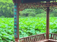 -龙头寺公园