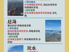 -三亚西岛海洋文化旅游区