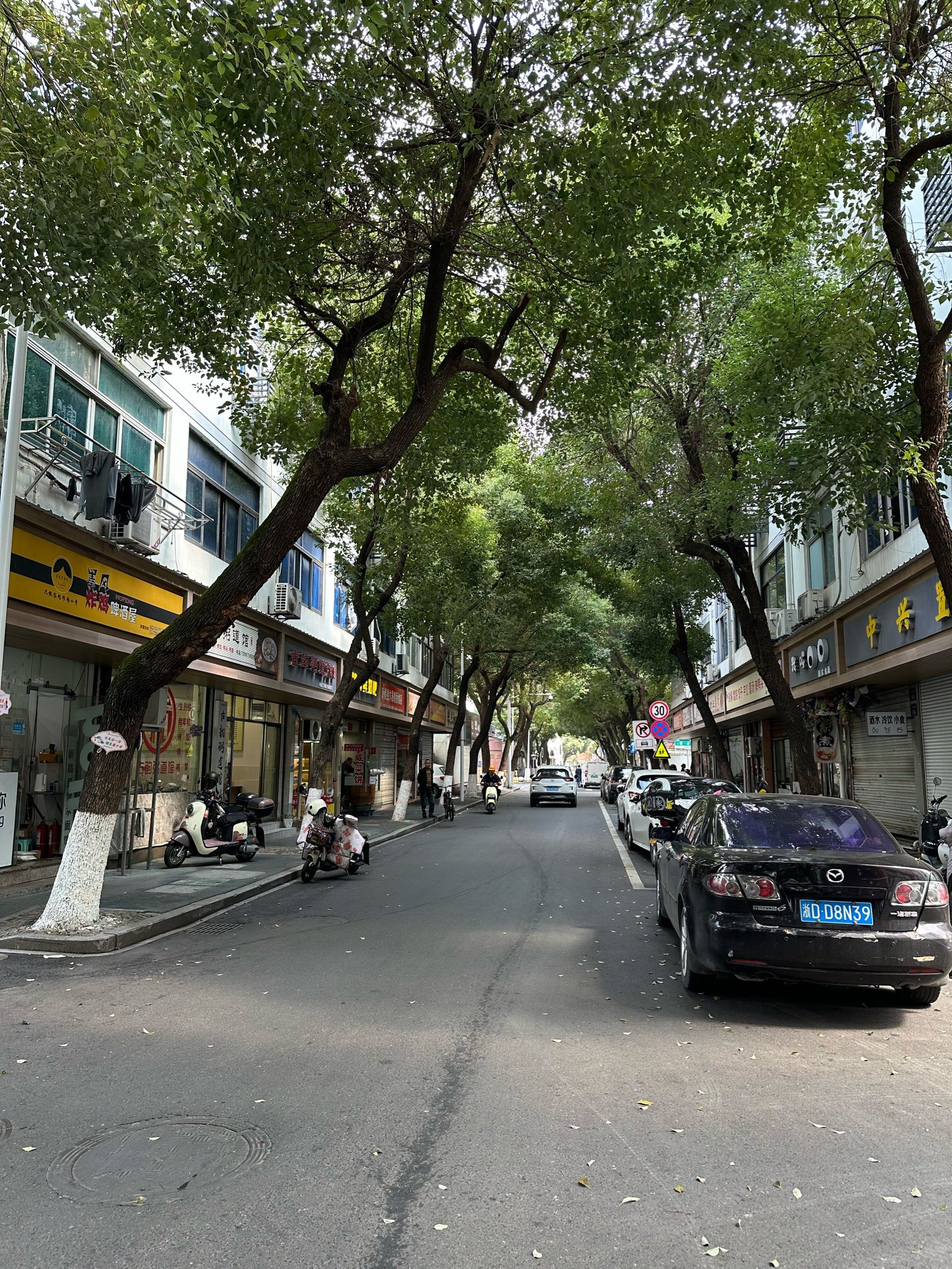 沃洲路:美食与市井烟火气
作为新昌"碳水王国"的核心街区,沃洲路