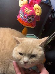 点击看大图 -米迪婚礼