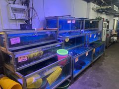-八仔大富楼·河鲜(西江店)