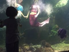 -嘉兴海底世界