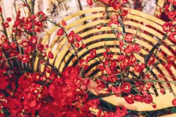 -花轿喜屋婚礼策划