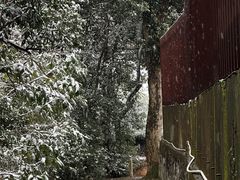 -西湖风景区十里琅珰-五云山