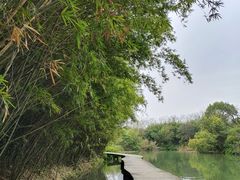 -西溪国家湿地公园