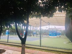 -成都高新创新角度网球俱乐部