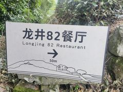 -龙井村
