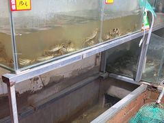 -蟹道河蟹大米商行