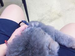 -熊小胖宠物生活馆(天华园店)