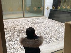 -苏州金鸡湖大酒店