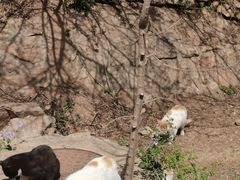 -云峰山自然风景区