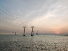 -宝安西湾红树林湿地公园
