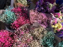 -三圣花乡旅游区