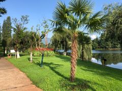 -云南滇池花园国际大酒店温泉