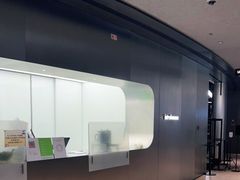 -introlemons(北京西单更新场店)