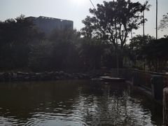 -石排湾郊野公园