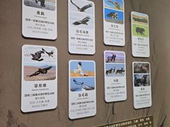 -浙江自然博物院(杭州馆)