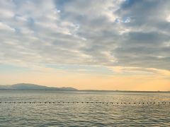 -深圳湾公园(南山区)
