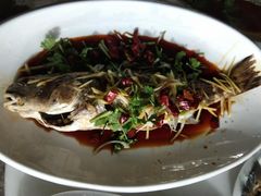 油泼大黄鱼-香满居张记小厨私房菜(青岛站店)
