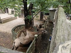 -昆明动物园