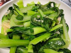 -风波庄(罍街分舵)