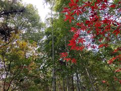 -杭州半山国家森林公园