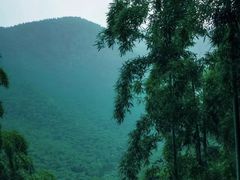 -藏龙百瀑风景区