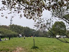 -蜀冈西峰生态公园