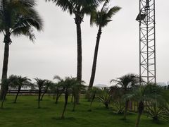 -野狸岛