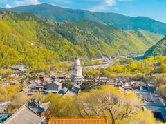 -芦芽山旅游度假区