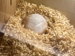 -广州锦绣香江度假别墅