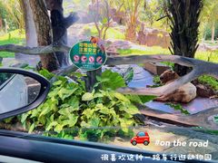 -海南热带野生动植物园