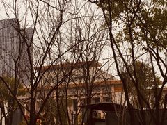 -中国电信(武林广场营业厅)