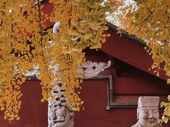 -北京石刻艺术博物馆(五塔寺)